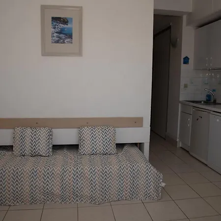 Daire 4 Pers Au Lavandou, Animaux Acceptes, Parking - Fr-1-803-63