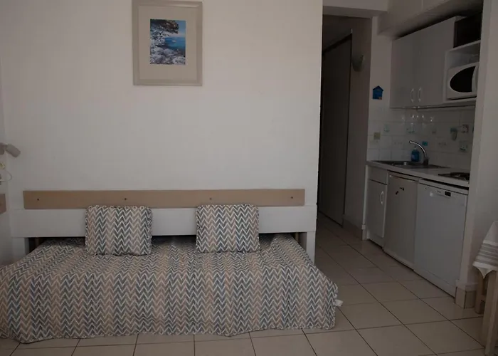 아파트 4 Pers Au Lavandou, Animaux Acceptes, Parking - Fr-1-803-63