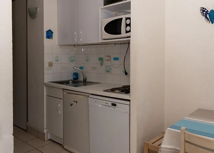 4 Pers Au Lavandou, Animaux Acceptes, Parking - Fr-1-803-63 아파트